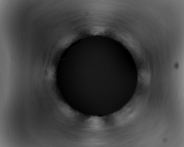 X0000103130280200808291322