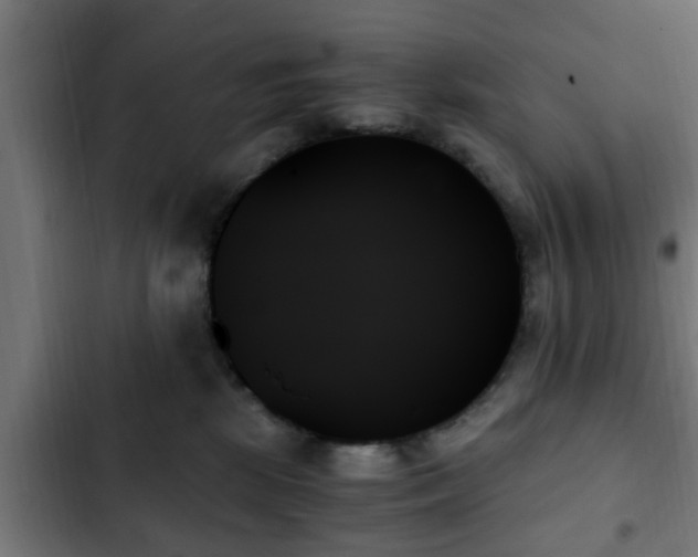 X0000103130281200808291323