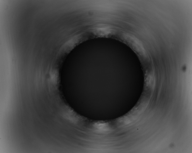 X0000103130283200808291323