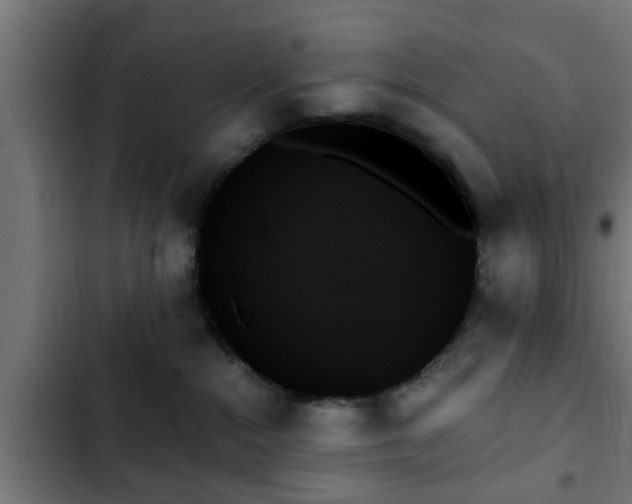 X0000103130284200808291323