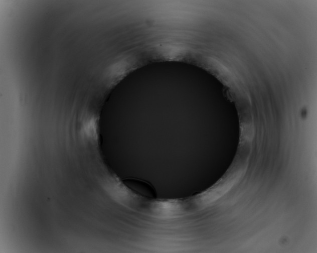 X0000103130286200808291323