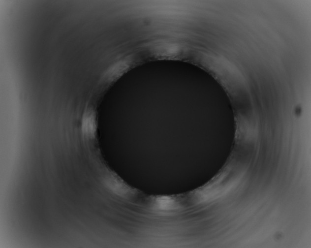 X0000103130287200808291323