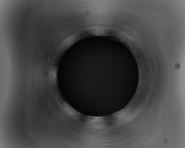 X0000103130288200808291323