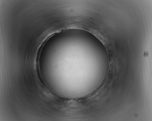 X0000103130290200808291322