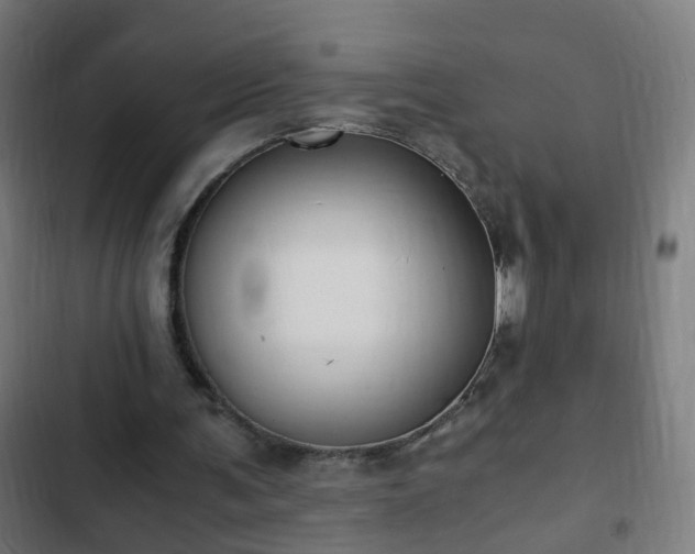 X0000103130291200808291322