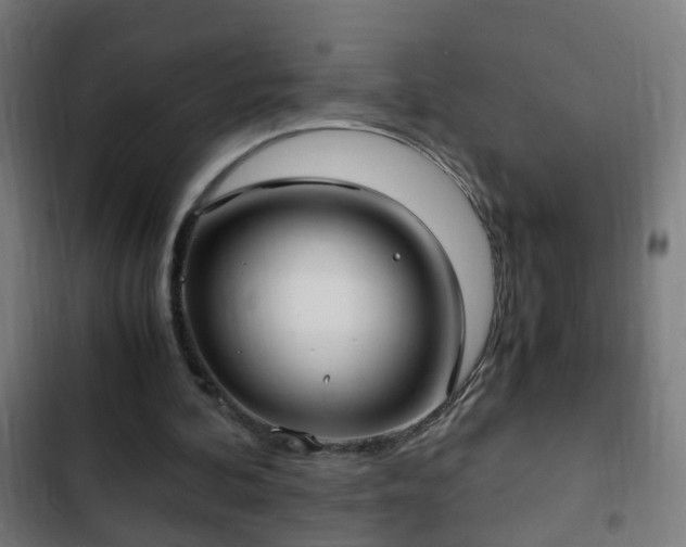 X0000103130292200808291322
