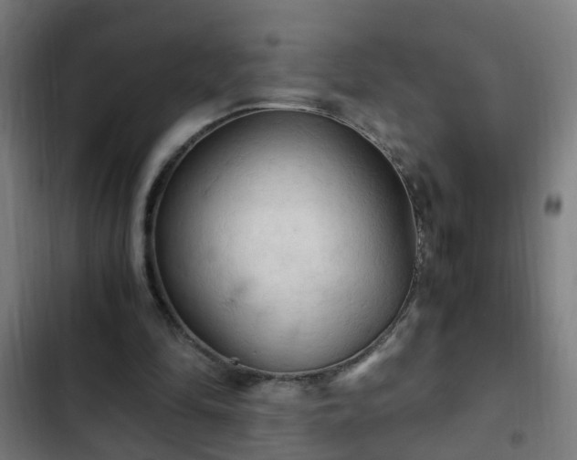 X0000103130294200808291322