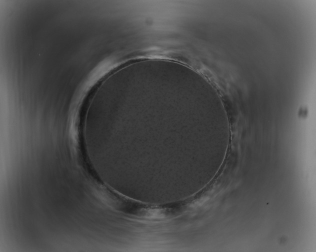 X0000103130295200808291322