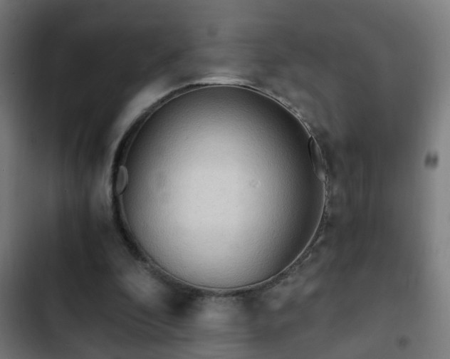 X0000103130296200808291322