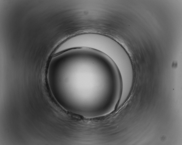 X0000103130297200808291322