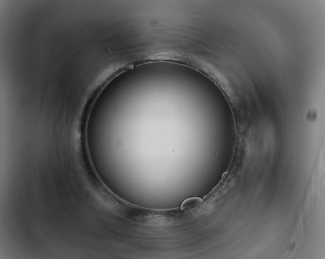 X0000103130298200808291322