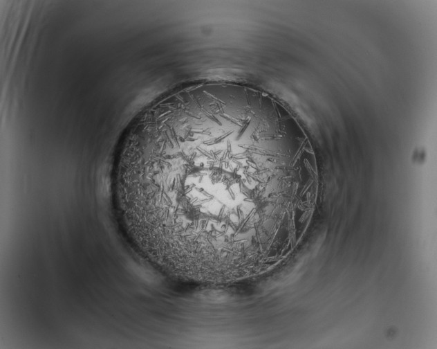 X0000103130299200808291322