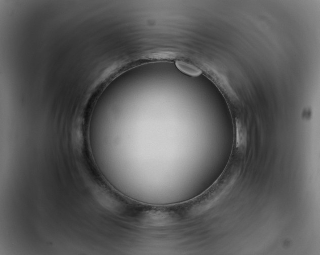 X0000103130300200808291322