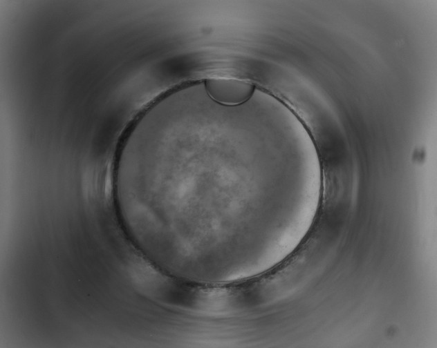 X0000103130301200808291322