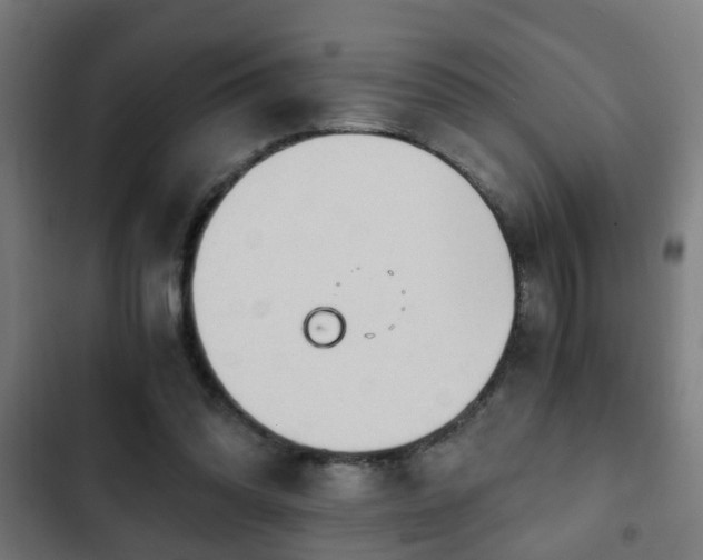 X0000103130302200808291322