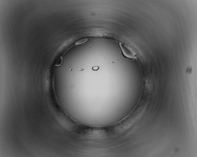 X0000103130304200808291322