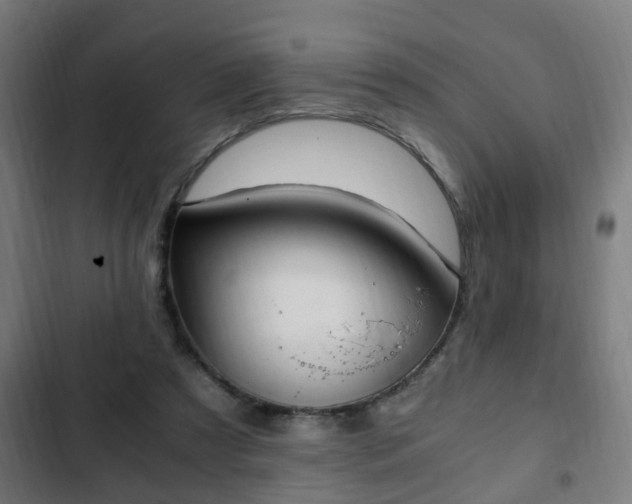 X0000103130305200808291322