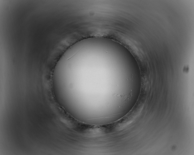X0000103130307200808291322