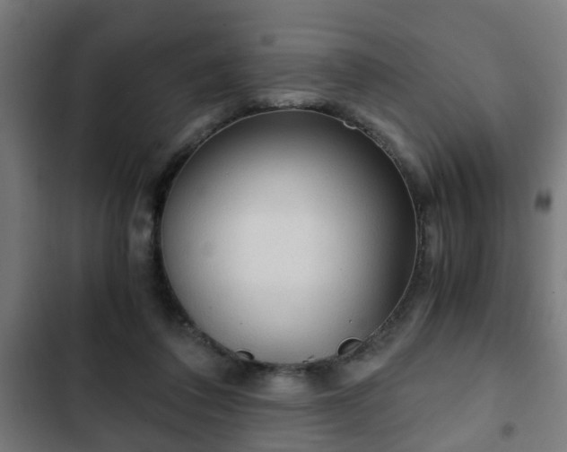 X0000103130308200808291322
