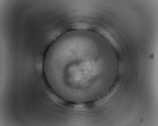 X0000103130309200808291322