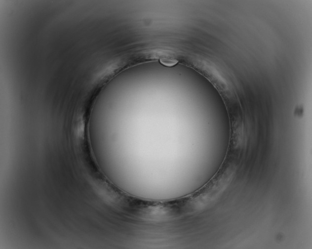 X0000103130310200808291322