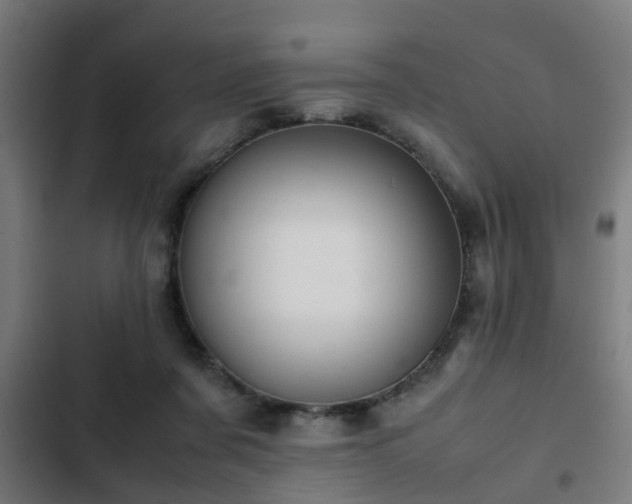 X0000103130311200808291322