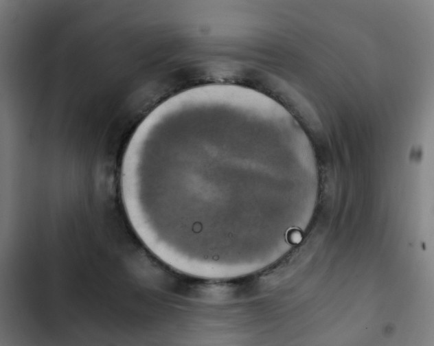 X0000103130313200808291322