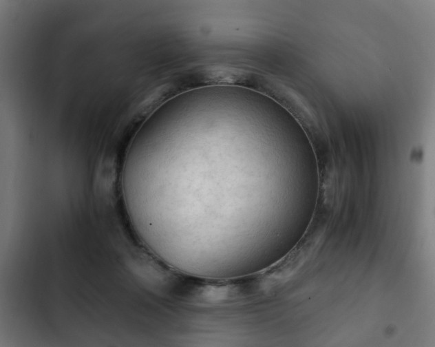 X0000103130314200808291322