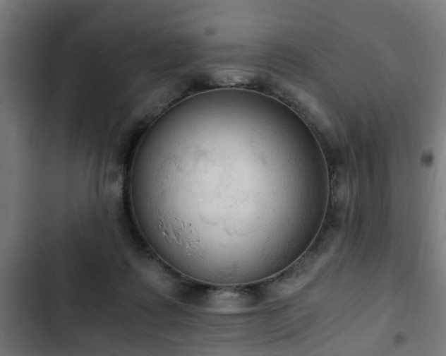 X0000103130315200808291322