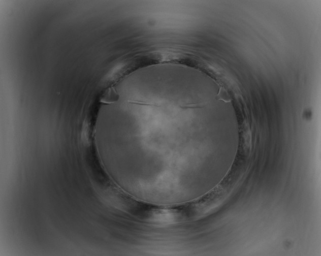 X0000103130316200808291322