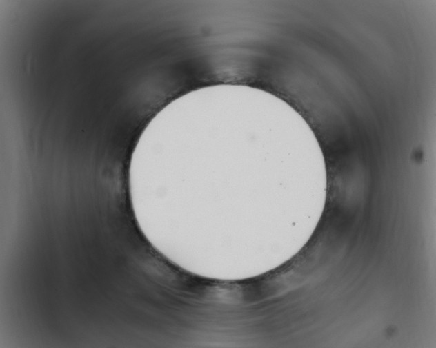 X0000103130317200808291322