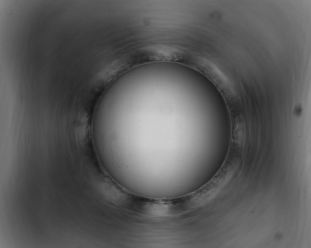 X0000103130318200808291322