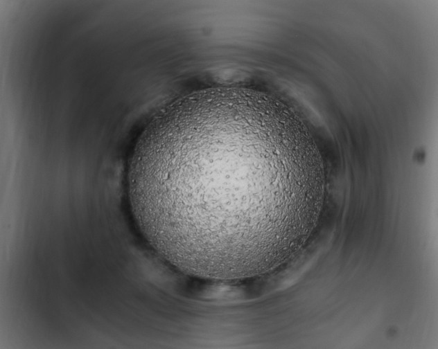 X0000103130319200808291322