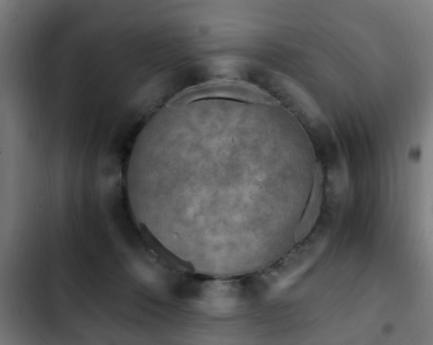 X0000103130320200808291322