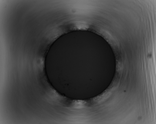 X0000103130321200808291322