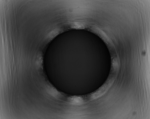 X0000103130322200808291321