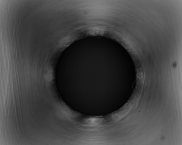 X0000103130323200808291321