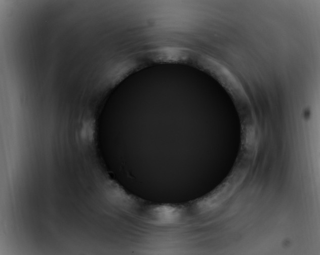 X0000103130326200808291321