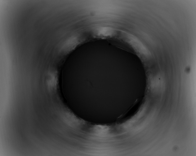X0000103130328200808291321