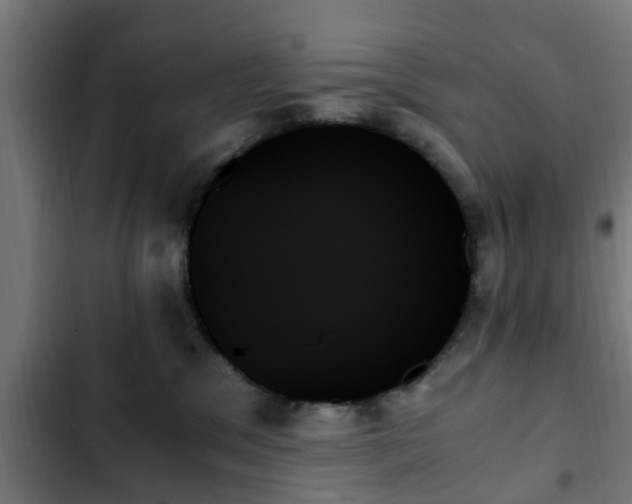 X0000103130329200808291321