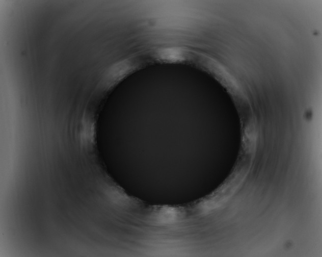 X0000103130330200808291321