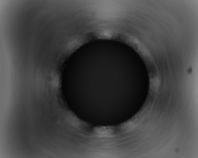 X0000103130331200808291321