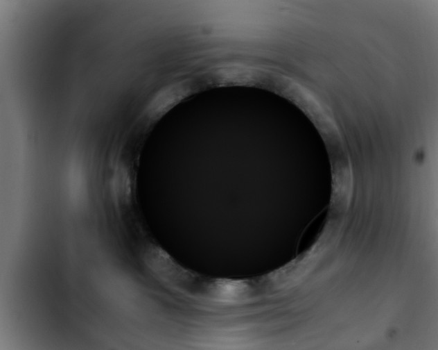 X0000103130333200808291321