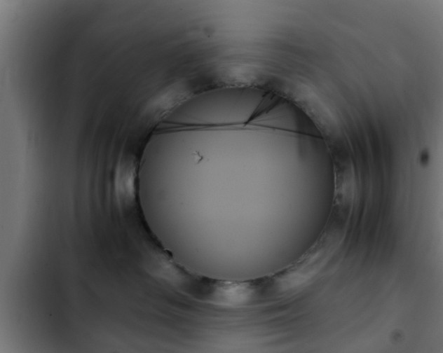 X0000103130334200808291321