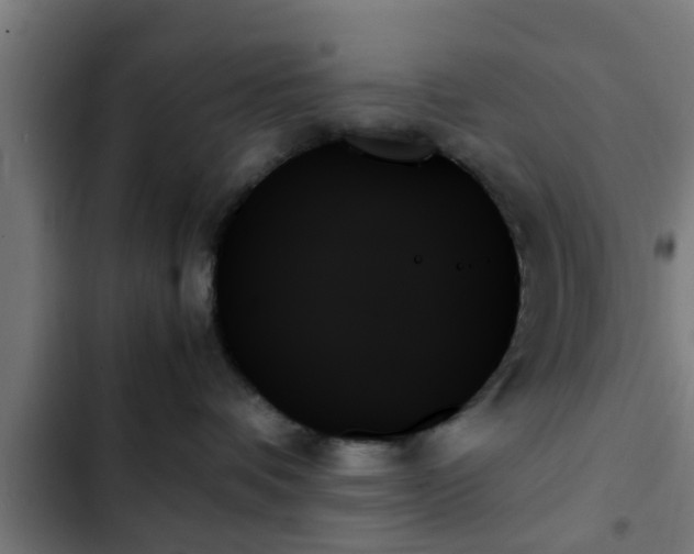 X0000103130336200808291321