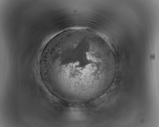 X0000103130337200808291321