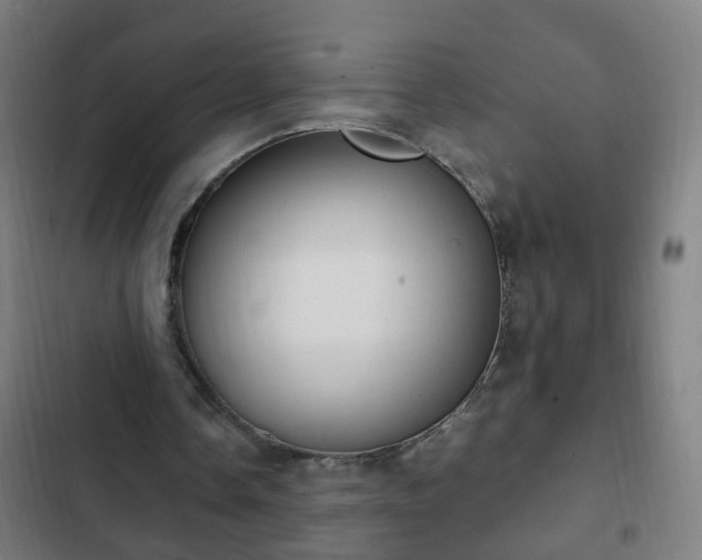 X0000103130338200808291321