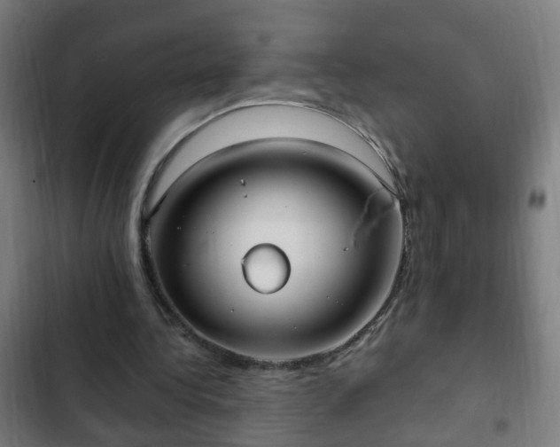 X0000103130340200808291321