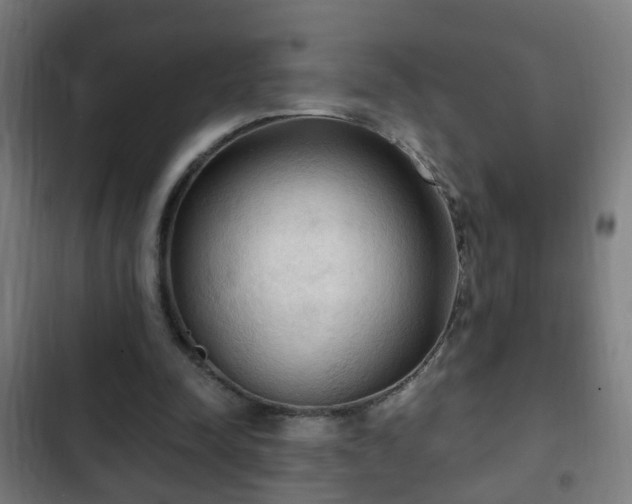 X0000103130342200808291321