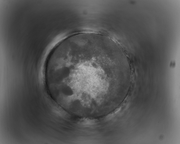 X0000103130343200808291321